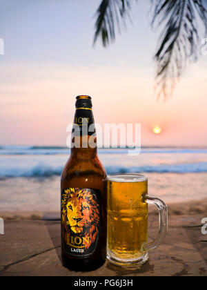 Close up vertical d'une bouteille de bière Lion au Sri Lanka. Banque D'Images