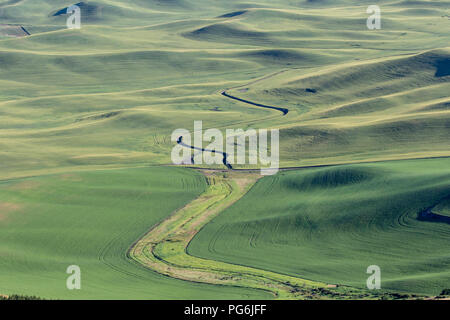 Les terres agricoles et les cultures dans la région de Washington Pullman Palouse Banque D'Images