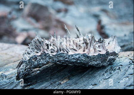 Lave froide après une éruption du volcan Tolbachik, Kamchatka, Russie Banque D'Images