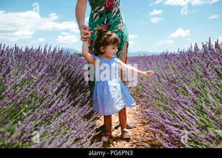 France, Provence, plateau de Valensole, Mère et fille marcher parmi les champs de lavande en été Banque D'Images