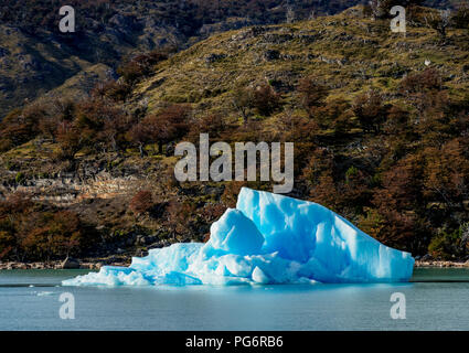 Iceberg sur le lac Argentino, le Parc National Los Glaciares, Province de Santa Cruz, Patagonie, Argentine Banque D'Images