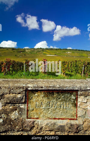 LA TACHE Romanee Conti plaque de nom de pierre du vignoble, paroi limite de la Tache. Domaine de la Romanee-Conti, Vosne Romanee, Côte d'Or, France Banque D'Images