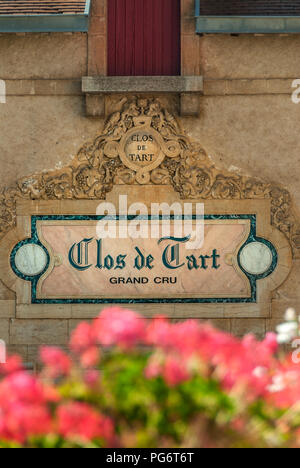 Clos de Tart Grand Cru signer avec fleurs en premier plan, Morey-St-Denis, Bourgogne Côte d'Or, France Banque D'Images