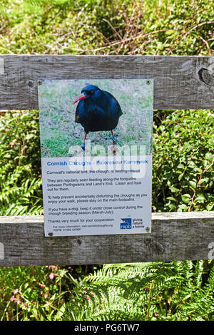 Un signe indiquant que le crave à bec rouge, Cornish chough ou simplement chough (Pyrrhocorax pyrrhocorax) nichent à proximité à Porthgwarra, Cornwall Cove Banque D'Images