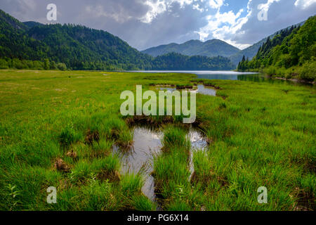 Allemagne, Berlin, Reit im Winkl, lac Weitsee près de Ruhpolding, Weitsee moor Banque D'Images