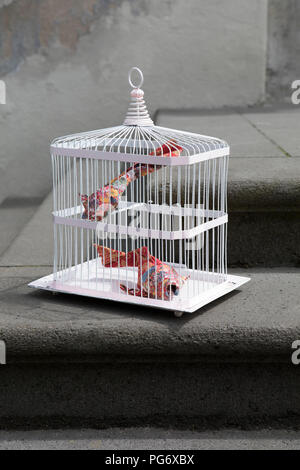 Cois Origami in cage Banque D'Images