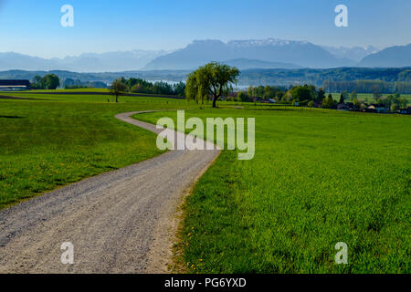 Allemagne, Berlin, Chiemgau, Rupertiwinkel, vue de Bicheln, Tettenhausen et Waginger See, Berchtesgaden et Alpes de Chiemgau Banque D'Images