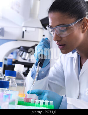 La recherche génétique, female scientist pipetting DNA ou chimiques d'échantillon dans un flacon d'Eppendorf, de l'analyse en laboratoire Banque D'Images