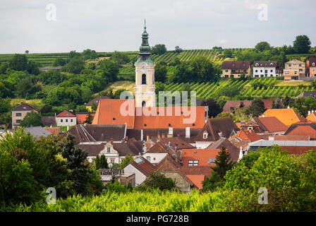 L'Autriche, Basse Autriche, Waldviertel, Wachau, Langenlois, Église Paroissiale, vignoble Banque D'Images