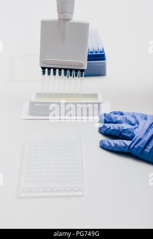 Portrait de chercheur scientifique à l'aide d'une pipette multicanaux à table de travail avec flacons de laboratoire de biotechnologie Banque D'Images