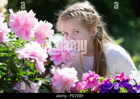 Biélorussie, Minsk, le 29 mai 2018. Le centre de l'école maternelle. Journée portes ouvertes.Une petite fille renifle les fleurs d'hortensias. Banque D'Images