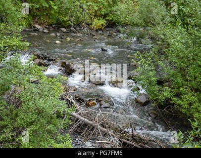 Bertha Creek qui la traverse Banque D'Images