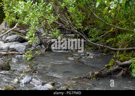 Bertha Creek qui la traverse Banque D'Images