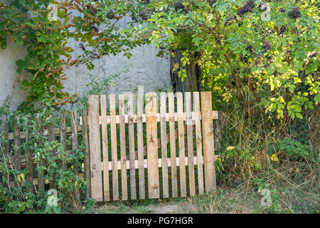Vieille et petite porte en bois menant dans le jardin Banque D'Images