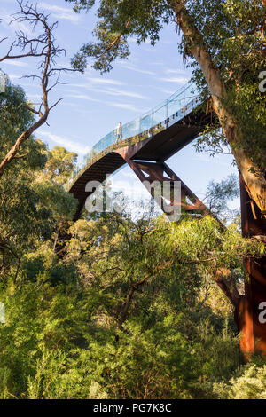 Les gens sur le parc Kings Lotterywest Federation pont passerelle, jardins botaniques Kings Park, Perth, Australie Banque D'Images