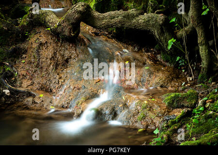 Petite cascade sous streaming tronc d'arbre dans les bois des temps d'exposition Banque D'Images