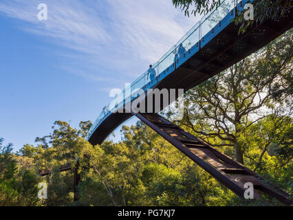 Les gens sur le parc Kings Lotterywest Federation pont passerelle, Perth, Australie Banque D'Images