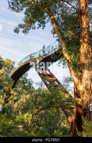 Les gens sur le parc Kings Lotterywest Federation pont passerelle, Perth, Australie Banque D'Images