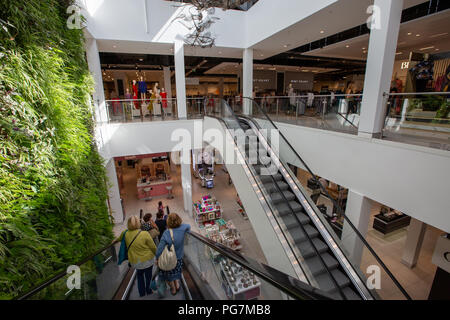 Stock photo datée du 21 août 2018 présente le House of Fraser department store à Rushden,Northants.L'entreprise a été récemment repris par Mike Ashley. Banque D'Images