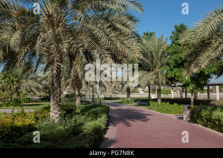 L'exécution de la voie bordée de palmiers à Al Barsha Pond Park, Dubai, Émirats Arabes Unis Banque D'Images