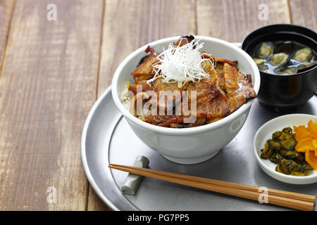 Porc teriyaki bol à riz, butadon, nourriture japonaise Banque D'Images