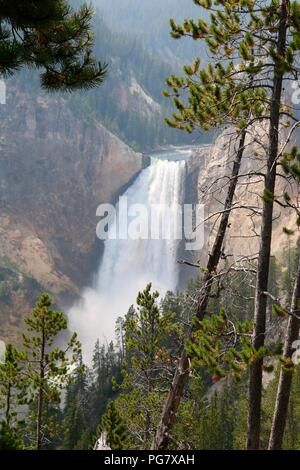 Les chutes supérieures dans le Grand Canyon du Yellowstone, le Parc National de Yellowstone, Wyoming. Banque D'Images