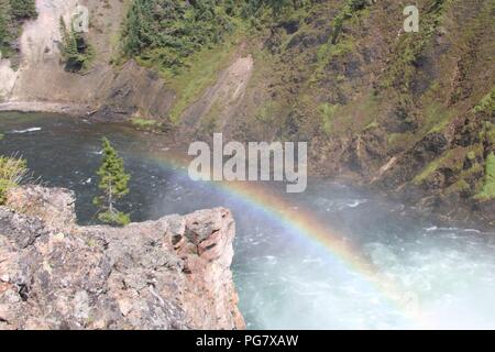 Rainbow au bas des chutes de la rivière Yellowstone dans le Grand Canyon de Yellowstone Banque D'Images