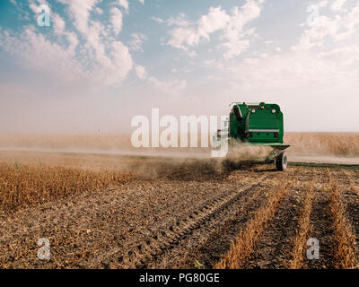 La Serbie, la Voïvodine, Moissonneuse-batteuse, dans champ de soya Banque D'Images