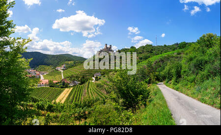 L'Autriche, Basse Autriche, Wachau, Kremstal, Senftenberg, ruine du château Senftenberg Banque D'Images