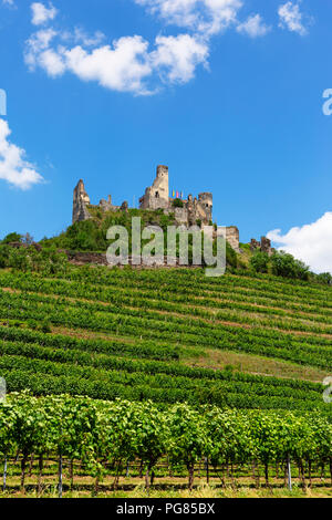 L'Autriche, Basse Autriche, Wachau, Kremstal, Senftenberg, ruine du château Senftenberg Banque D'Images