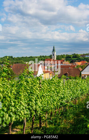 L'Autriche, Basse Autriche, Waldviertel, Wachau, Langenlois, Église Paroissiale, vignoble Banque D'Images