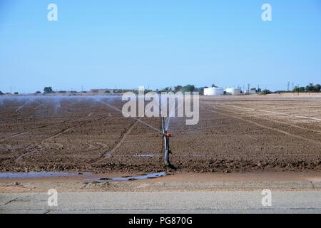 Système d'aspersion arrosage récemment planté des graines dans un champ dans l'Imperial Valley, Calfornia, United States. Banque D'Images