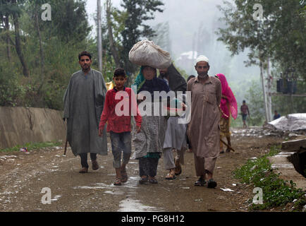 (180824) -- SRINAGAR, le 24 août, 2018 (Xinhua) -- les villageois du cachemire à pied pendant un filet à un village de Budgam district, à environ 40 km au sud-ouest de la ville de Srinagar, la capitale d'été du Cachemire sous contrôle indien, le 24 août, 2018. (Xinhua/Javed Dar) (DTF) Banque D'Images