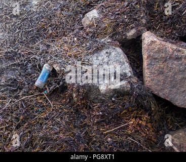 Le comté de Donegal, IRLANDE - 12 août 2018 : la pollution en plastique à Dungloe port du village. Une bouteille en plastique entourée d'algues. Banque D'Images