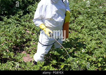 La pulvérisation d'un potager avec des substances toxiques, la protection des légumes avec des herbicides, pesticides ou insecticides Banque D'Images