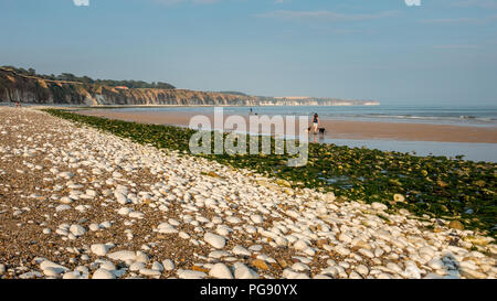 Femme marche deux chiens sur Bridlington North Beach sur une chaude journée d'été, UK Banque D'Images