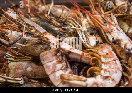 Royal grillé appétissant de crevettes. Seafood Grill sur la cuisinière, sur le marché de l'alimentation de rue Banque D'Images
