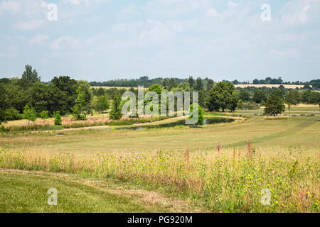 Vue étendue de verdure paysage avec étang entouré de beaucoup d'arbres autour de Banque D'Images