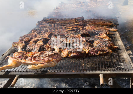 La viande traditionnelle grillées sur le grill dans la campagne argentine Banque D'Images