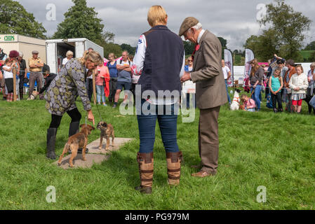 À en juger dans le terrier de travail catégorie à la Hawkshead Show en Cumbria Banque D'Images