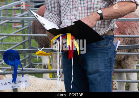 Contrôler les gagnants à Hawkshead Show en Cumbria Banque D'Images