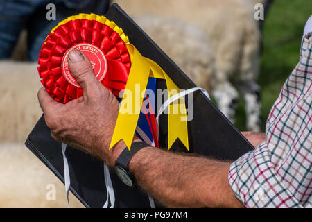 Rosettes prêt pour présentation à la juger moutons Hawkshead Show Cumbria Banque D'Images