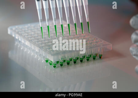 Pipette multicanaux. Banque D'Images