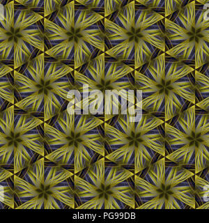 Graphique surréaliste contexte fractale. Éléments de design créatif artistique. L'art moderne numérique Big size print pattern. Fantaisie multicolores abstraction. Banque D'Images
