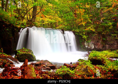 Belle vue de Choshi cascade entourant avec autumn forest à Oirase sentier de randonnée dans le Parc National Towada Kamaishi, Aomori, Japon Banque D'Images