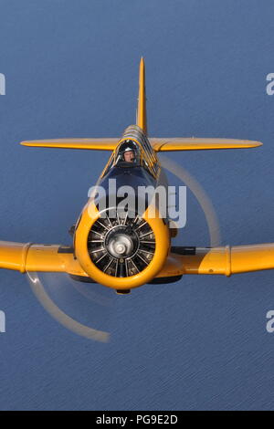 SK-16A HARVARD (T-6) SE-FUB DE L'armée de l'air suédoise vol historique. Banque D'Images