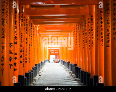 Le torii vermillon brillant portes de Fushimi Inari-Taisha Fushimi Inari Taisha (sanctuaire, sanctuaire Fushimi Inari) près de Kyoto, au Japon. Banque D'Images
