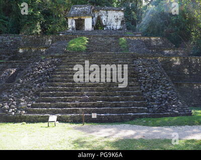 Grande pyramide maya pierreux au Parc National de Palenque ville à Mexico à paysages de jungle dans la région du Chiapas en 2018, jour d'hiver ensoleillé chaud Banque D'Images