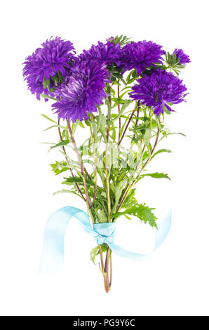 Bouquet de violettes d'automne les asters. Studio Photo Banque D'Images