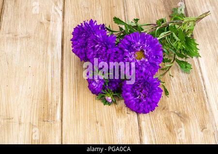 Bouquet de violettes d'automne les asters. Studio Photo Banque D'Images